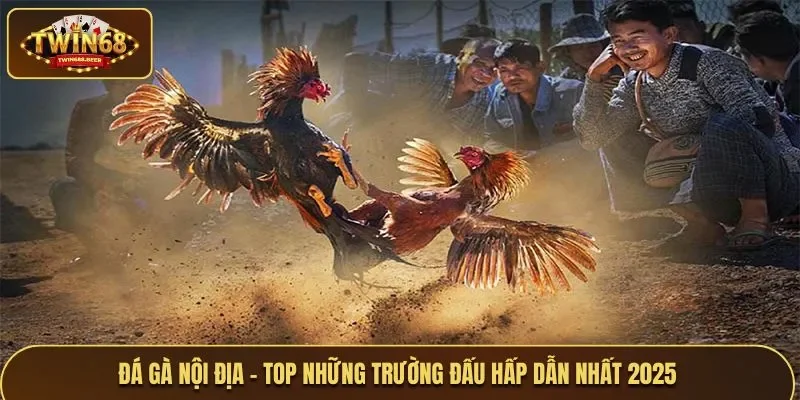 Đá gà nội địa