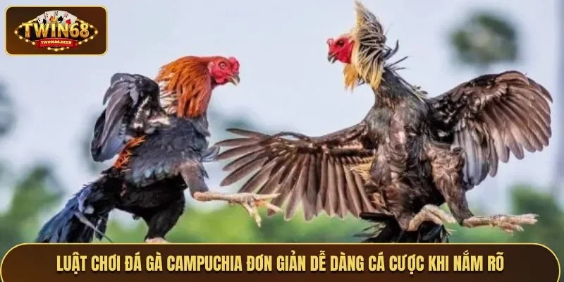 Luật chơi đơn giản dễ dàng cá cược khi nắm rõ